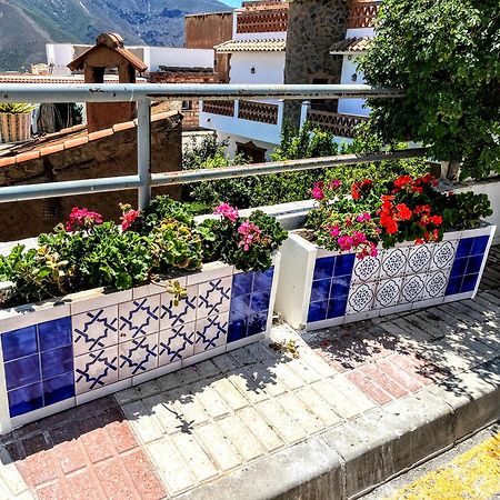 فندق Casa Jazmin أورخيفا المظهر الخارجي الصورة