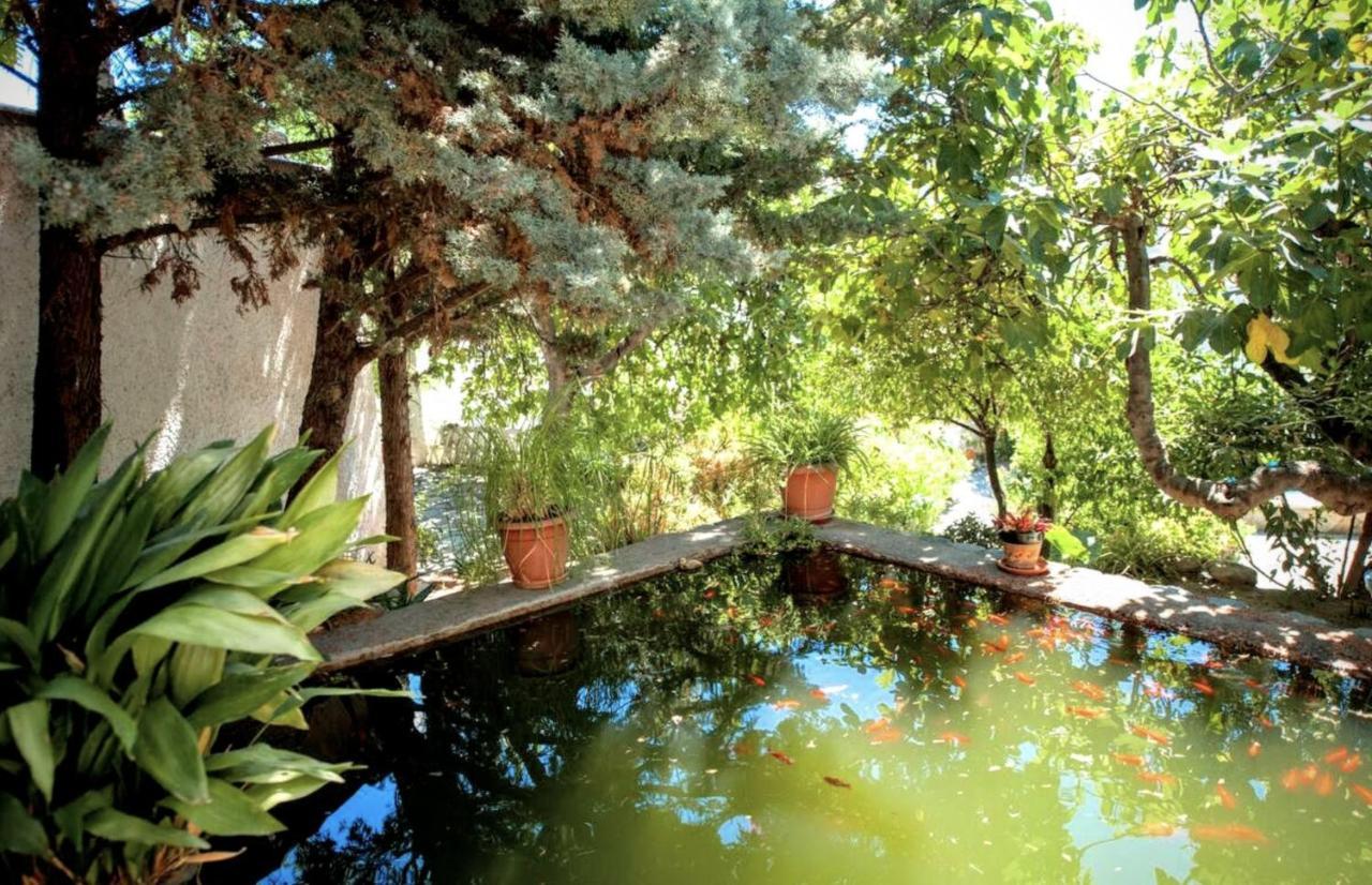 فندق Casa Jazmin أورخيفا المظهر الخارجي الصورة